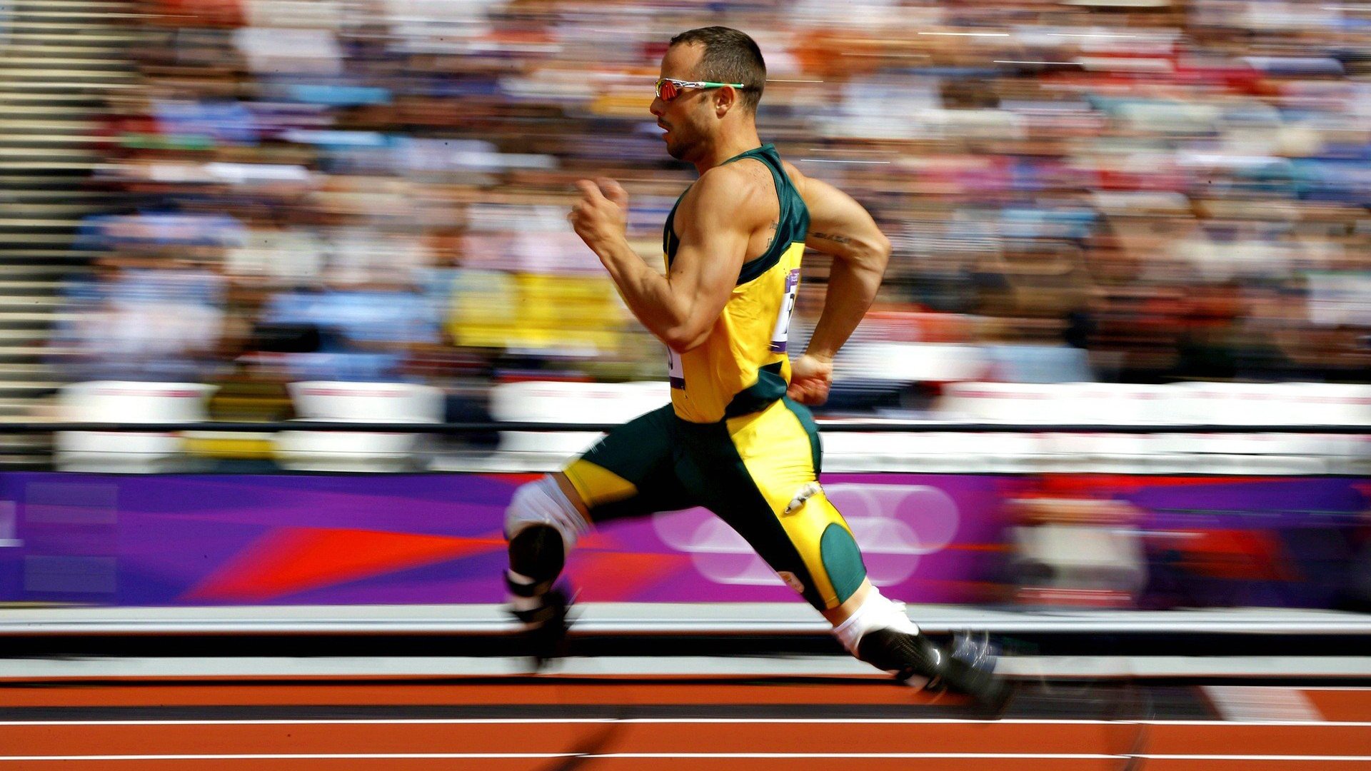 体育新闻中心协办全国体育数字内容应用大会，体育数字化