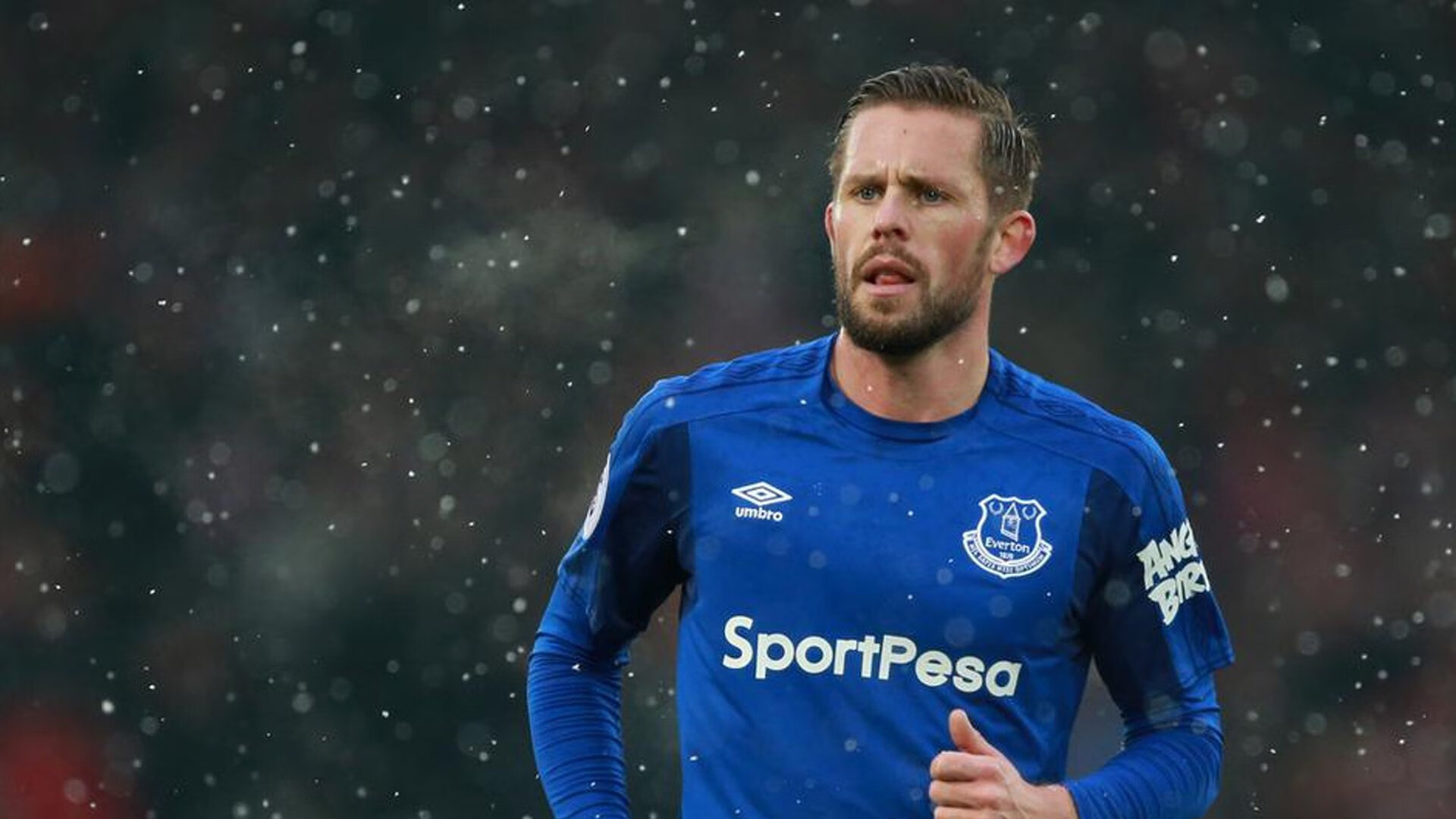 詹皇浓眉双核如何统治西部，詹皇浓眉照片